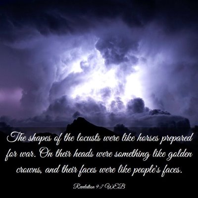 Picture 03 - Revelation 9:7 WEB - The shapes of the locusts were like horses - Bible Verse Picture