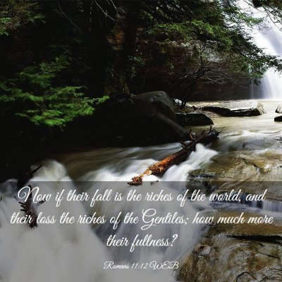 Picture 03 - Romans 11:12 WEB - Now if their fall is the riches of the world, and - Bible Verse Picture
