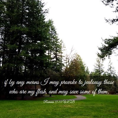Picture 03 - Romans 11:14 WEB - if by any means I may provoke to jealousy those - Bible Verse Picture