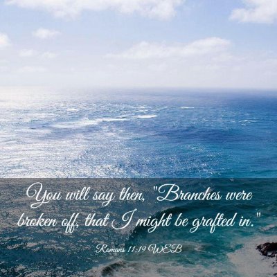 Picture 03 - Romans 11:19 WEB - You will say then, 