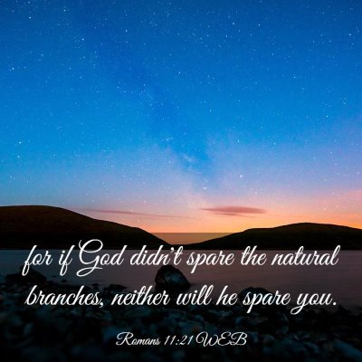 Picture 03 - Romans 11:21 WEB - for if God didn't spare the natural branches, - Bible Verse Picture