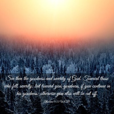 Picture 03 - Romans 11:22 WEB - See then the goodness and severity of God. Toward - Bible Verse Picture