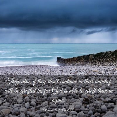 Picture 03 - Romans 11:23 WEB - They also, if they don't continue in their - Bible Verse Picture
