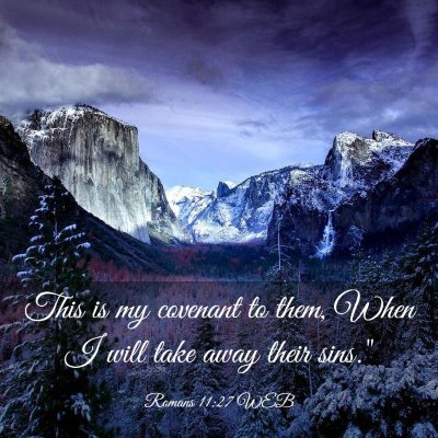 Picture 03 - Romans 11:27 WEB - This is my covenant to them, When I will take - Bible Verse Picture