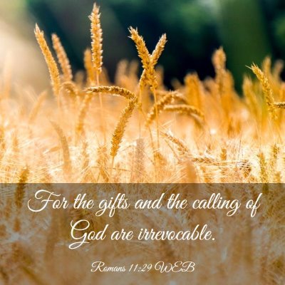 Picture 03 - Romans 11:29 WEB - For the gifts and the calling of God are - Bible Verse Picture