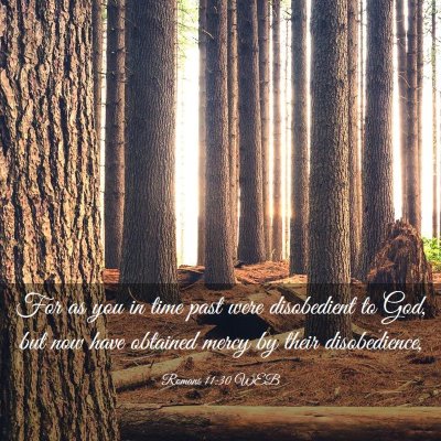 Picture 03 - Romans 11:30 WEB - For as you in time past were disobedient to God, - Bible Verse Picture