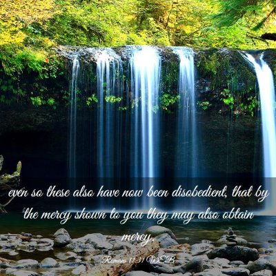 Picture 03 - Romans 11:31 WEB - even so these also have now been disobedient, - Bible Verse Picture