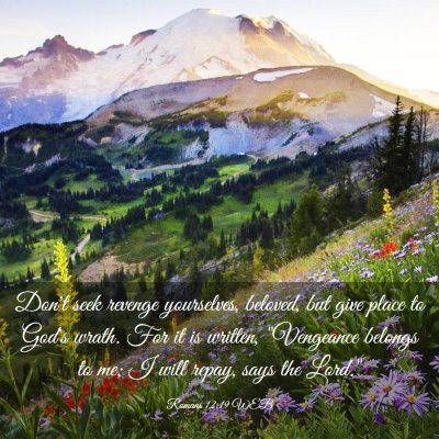 Picture 03 - Romans 12:19 WEB - Don't seek revenge yourselves, beloved, but give - Bible Verse Picture
