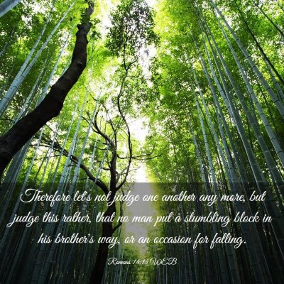 Picture 03 - Romans 14:13 WEB - Therefore let's not judge one another any more, - Bible Verse Picture