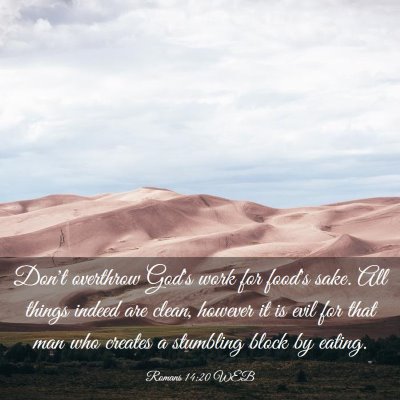 Picture 03 - Romans 14:20 WEB - Don't overthrow God's work for food's sake. All - Bible Verse Picture