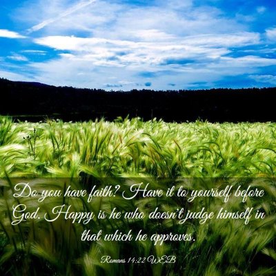 Picture 03 - Romans 14:22 WEB - Do you have faith? Have it to yourself before - Bible Verse Picture