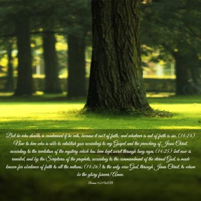 Picture 03 - Romans 14:23 WEB - But he who doubts is condemned if he eats, - Bible Verse Picture