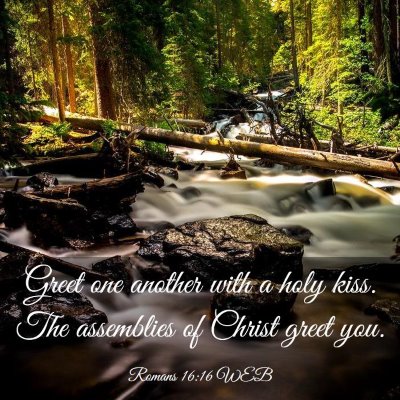 Picture 03 - Romans 16:16 WEB - Greet one another with a holy kiss. The - Bible Verse Picture