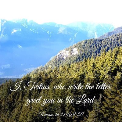 Picture 03 - Romans 16:22 WEB - I, Tertius, who write the letter, greet you in - Bible Verse Picture