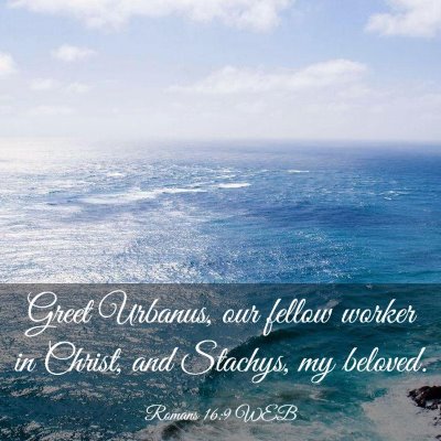 Picture 03 - Romans 16:9 WEB - Greet Urbanus, our fellow worker in Christ, and - Bible Verse Picture