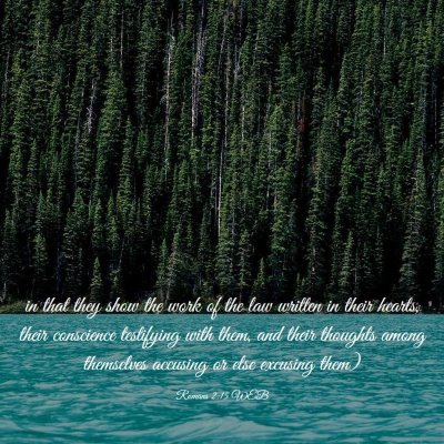 Picture 03 - Romans 2:15 WEB - in that they show the work of the law written in - Bible Verse Picture