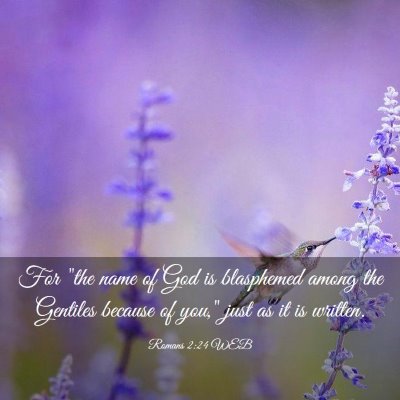 Picture 03 - Romans 2:24 WEB - For 
