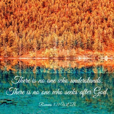 Picture 03 - Romans 3:11 WEB - There is no one who understands. There is no one - Bible Verse Picture