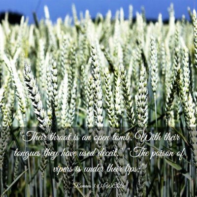 Picture 03 - Romans 3:13 WEB - 