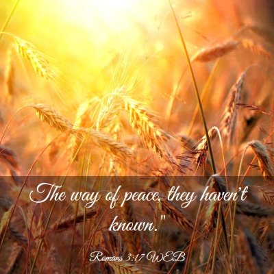Picture 03 - Romans 3:17 WEB - The way of peace, they haven't - Bible Verse Picture