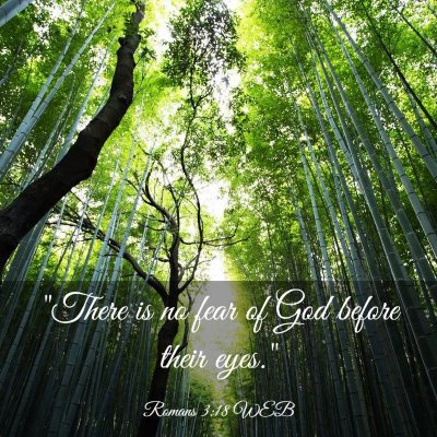 Picture 03 - Romans 3:18 WEB - 