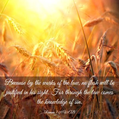 Picture 03 - Romans 3:20 WEB - Because by the works of the law, no flesh will be - Bible Verse Picture