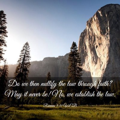 Picture 03 - Romans 3:31 WEB - Do we then nullify the law through faith? May it - Bible Verse Picture
