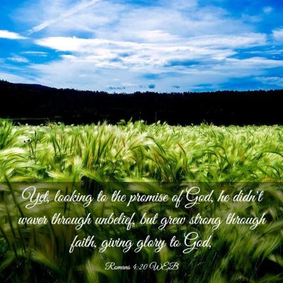 Picture 03 - Romans 4:20 WEB - Yet, looking to the promise of God, he didn't - Bible Verse Picture