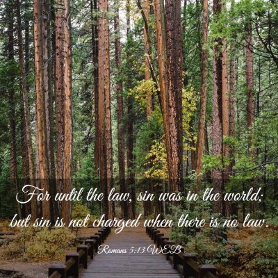 Picture 03 - Romans 5:13 WEB - For until the law, sin was in the world; but sin - Bible Verse Picture