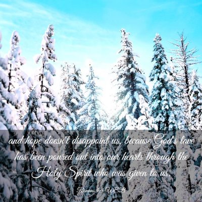 Picture 03 - Romans 5:5 WEB - and hope doesn't disappoint us, because God's - Bible Verse Picture