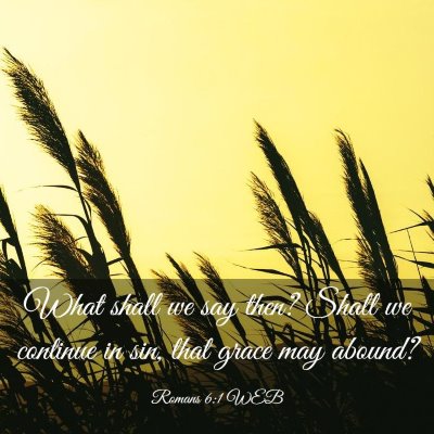 Picture 03 - Romans 6:1 WEB - What shall we say then? Shall we continue in sin, - Bible Verse Picture