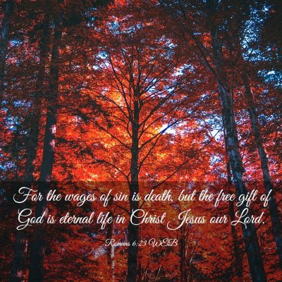 Picture 03 - Romans 6:23 WEB - For the wages of sin is death, but the free gift - Bible Verse Picture