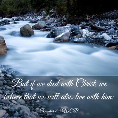Picture 03 - Romans 6:8 WEB - But if we died with Christ, we believe that we - Bible Verse Picture