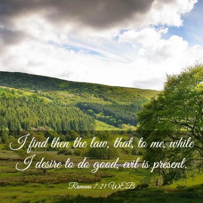 Picture 03 - Romans 7:21 WEB - I find then the law, that, to me, while I desire - Bible Verse Picture