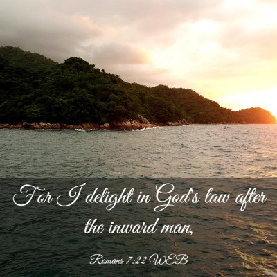 Picture 03 - Romans 7:22 WEB - For I delight in God's law after the inward - Bible Verse Picture