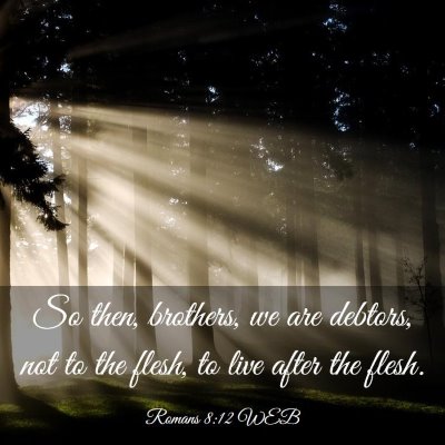 Picture 03 - Romans 8:12 WEB - So then, brothers, we are debtors, not to the - Bible Verse Picture