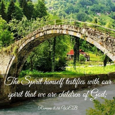 Picture 03 - Romans 8:16 WEB - The Spirit himself testifies with our spirit that - Bible Verse Picture