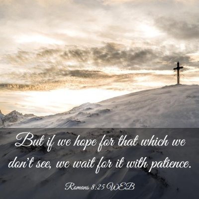Picture 03 - Romans 8:25 WEB - But if we hope for that which we don't see, we - Bible Verse Picture