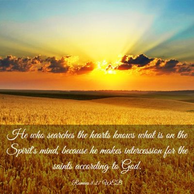 Picture 03 - Romans 8:27 WEB - He who searches the hearts knows what is on the - Bible Verse Picture