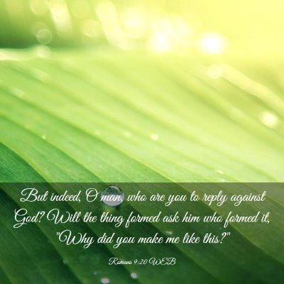 Picture 03 - Romans 9:20 WEB - But indeed, O man, who are you to reply against - Bible Verse Picture