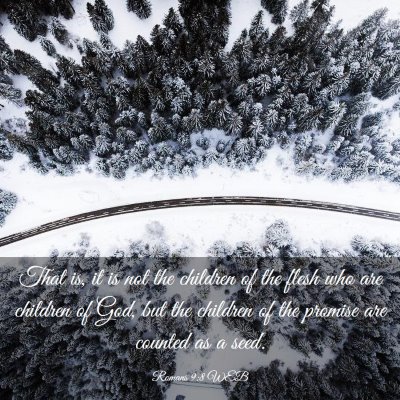 Picture 03 - Romans 9:8 WEB - That is, it is not the children of the flesh who - Bible Verse Picture