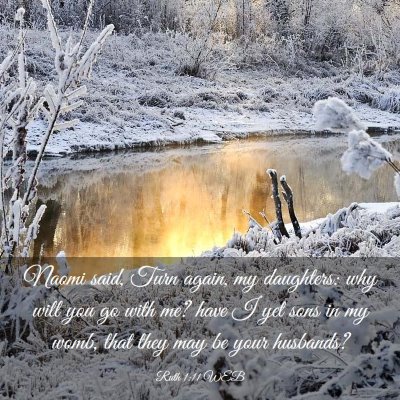 Picture 03 - Ruth 1:11 WEB - Naomi said, Turn again, my daughters: why will - Bible Verse Picture