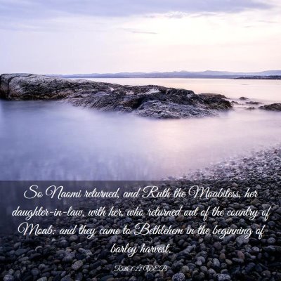 Picture 03 - Ruth 1:22 WEB - So Naomi returned, and Ruth the Moabitess, her - Bible Verse Picture