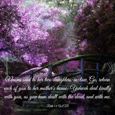 Picture 03 - Ruth 1:8 WEB - Naomi said to her two daughters-in-law, Go, - Bible Verse Picture