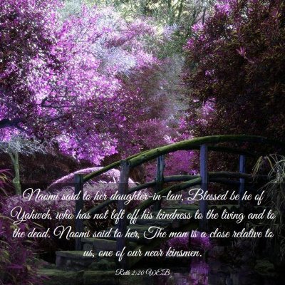 Picture 03 - Ruth 2:20 WEB - Naomi said to her daughter-in-law, Blessed be he - Bible Verse Picture