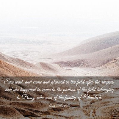 Picture 03 - Ruth 2:3 WEB - She went, and came and gleaned in the field after - Bible Verse Picture