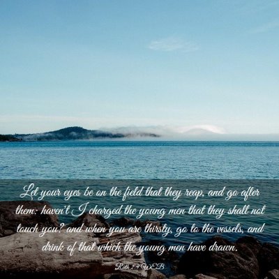 Picture 03 - Ruth 2:9 WEB - Let your eyes be on the field that they reap, and - Bible Verse Picture
