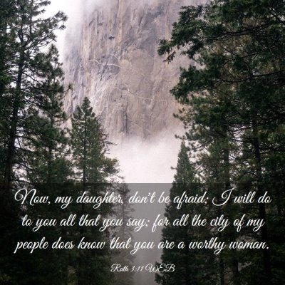 Picture 03 - Ruth 3:11 WEB - Now, my daughter, don't be afraid; I will do to - Bible Verse Picture