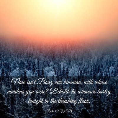 Picture 03 - Ruth 3:2 WEB - Now isn't Boaz our kinsman, with whose maidens - Bible Verse Picture