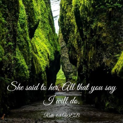 Picture 03 - Ruth 3:5 WEB - She said to her, All that you say I will - Bible Verse Picture